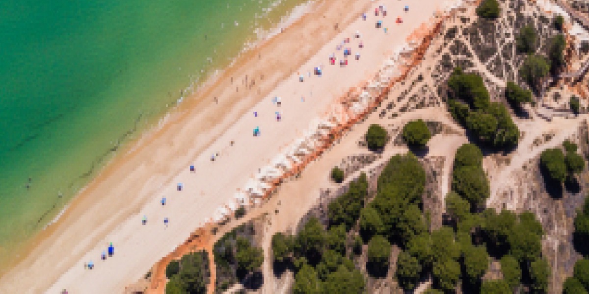 Vista aérea de una cala de aguas turquesas rodeada de pinos en la Costa Dorada