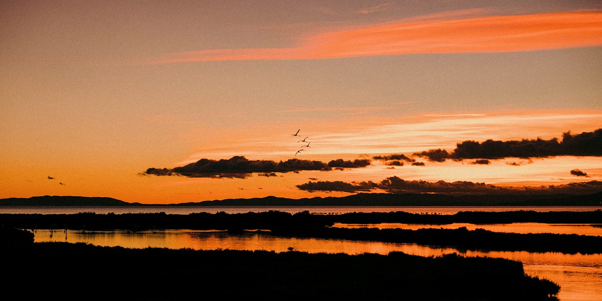 Atardecer sobre las lagunas del Delta del Ebro con aves en vuelo
